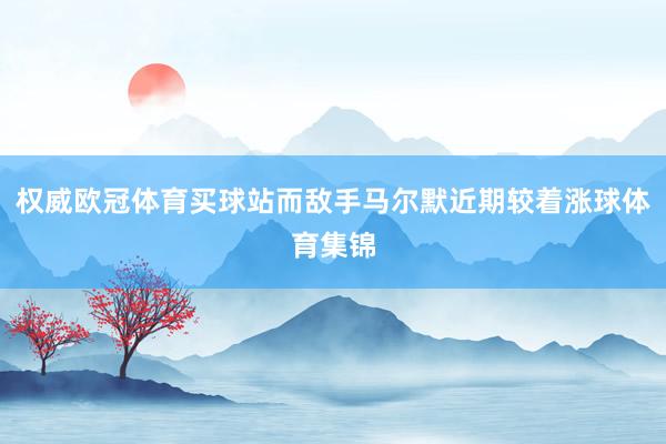 权威欧冠体育买球站而敌手马尔默近期较着涨球体育集锦