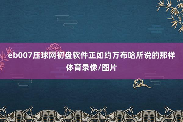 eb007压球网初盘软件正如约万布哈所说的那样体育录像/图片