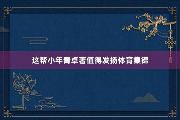 这帮小年青卓著值得发扬体育集锦