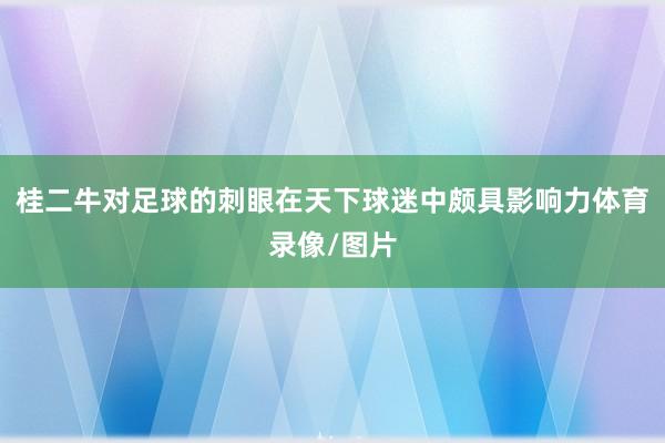 桂二牛对足球的刺眼在天下球迷中颇具影响力体育录像/图片