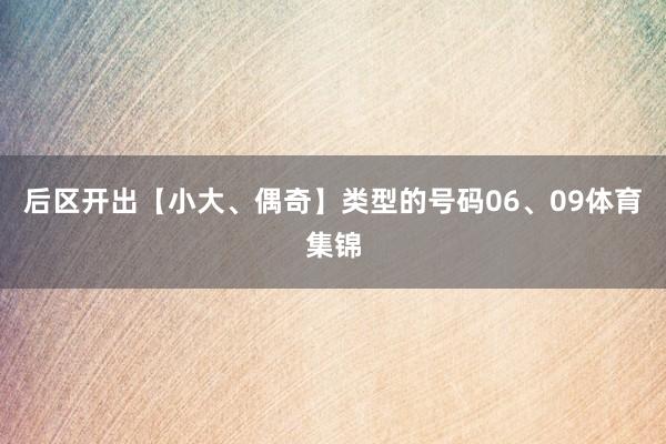 后区开出【小大、偶奇】类型的号码06、09体育集锦