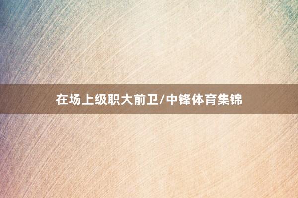 在场上级职大前卫/中锋体育集锦