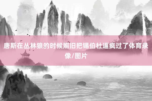 唐斯在丛林狼的时候照旧把锡伯杜逼疯过了体育录像/图片