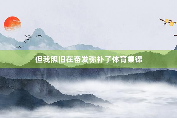 但我照旧在奋发弥补了体育集锦