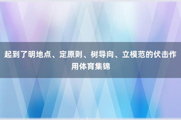 起到了明地点、定原则、树导向、立模范的伏击作用体育集锦