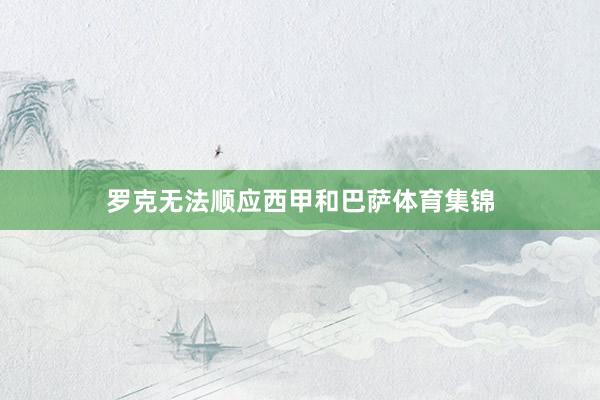 罗克无法顺应西甲和巴萨体育集锦